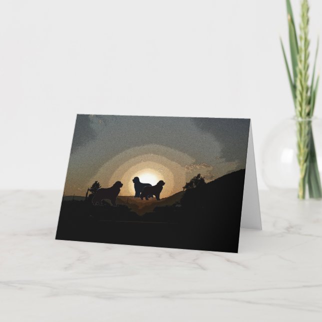 Chiens de Terre-Neuve Carte de voeux (Devant)