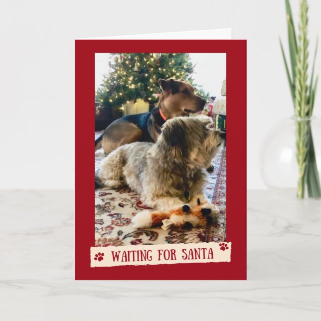 Chiens en attente de la carte de Noël Père Noël mi (Devant)