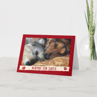 Chiens en attente du Père Noël - Carte drôle des c