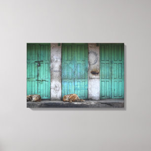 Chiens errants devant la toile des portes vertes s