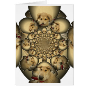 Chiens et chiots Hakuna Matta à l'infini sty extra