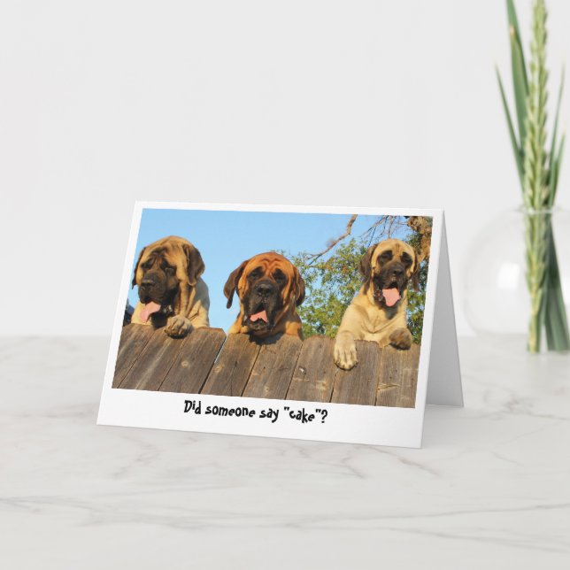 Chiens géants regardant sur la carte d'anniversair (Devant)