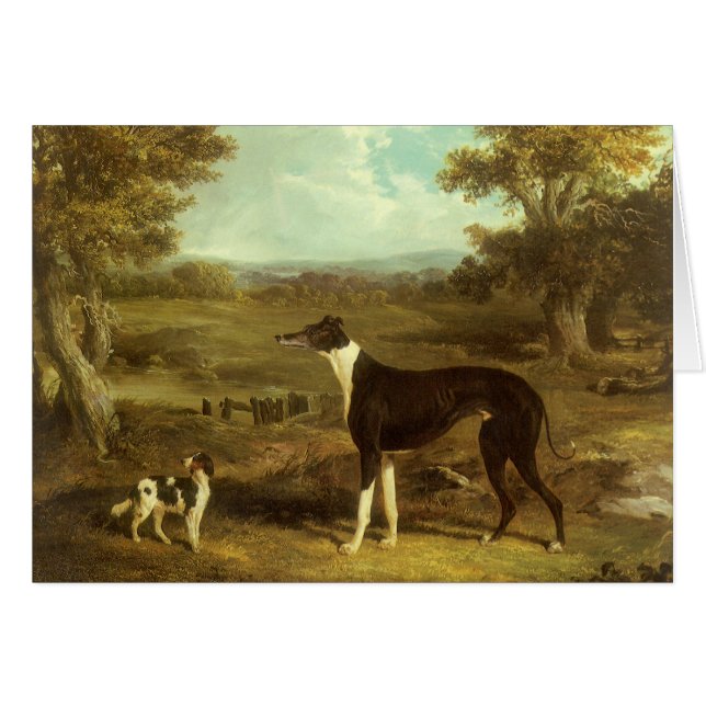 Chiens, Greyhound et Espagnol, Docteur Fop par Her (Devant horizontal)