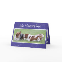 Chiens mignons et drôles de la carte w/Basset