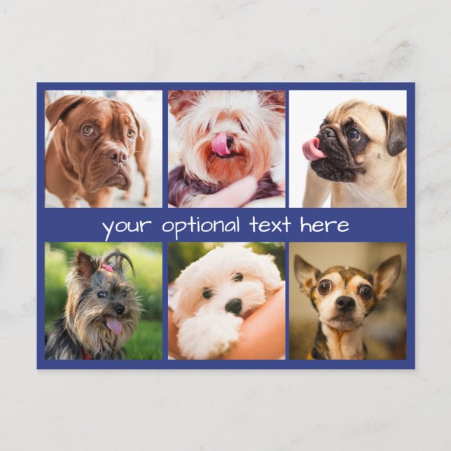 Chiens mignons ou VOS photos carte postale personn (Devant)