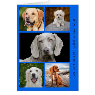 Chiens mignons Photo Anniversaire Collage