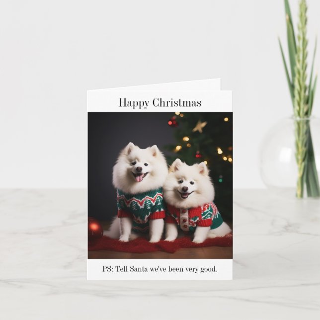 Chiens Samoyés Bonne carte de Noël (Devant)