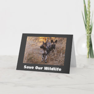 Chiens sauvages Sauvez notre carte de voeux pour l