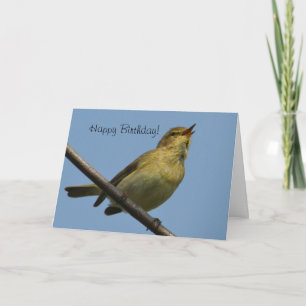 ChiffChaff Happy Birthday Card Karte