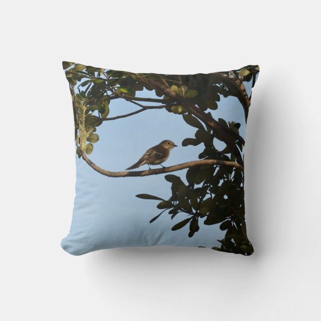 Chiffchaff Kissen (Vorderseite)
