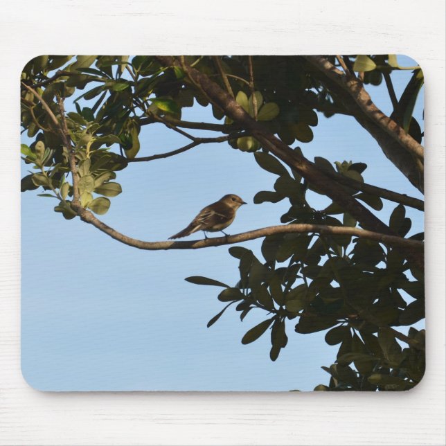 Chiffchaff Mousepad (Vorne)