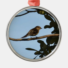 Chiffchaff Silbernes Ornament