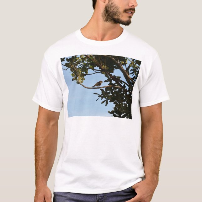 Chiffchaff T-Shirt (Vorderseite)