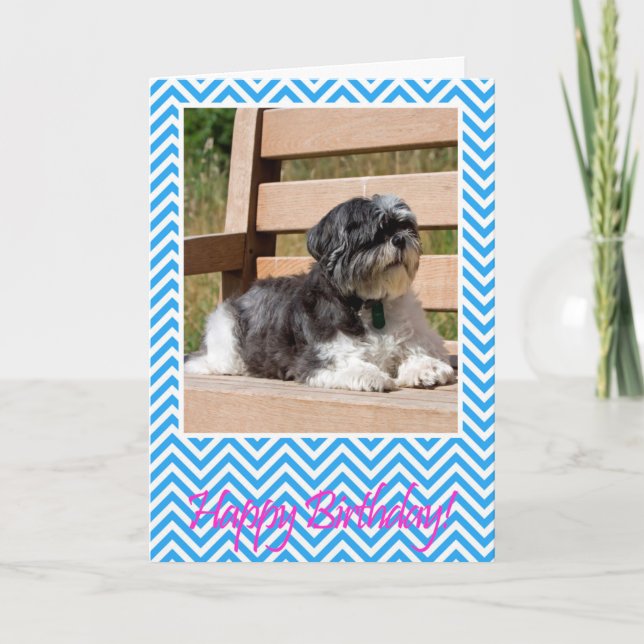 Chih Tzu Chien Bonne Carte de voeux d'anniversaire (Devant)