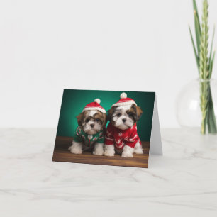 Chih Tzu Puppies Carte de Noël