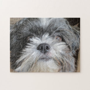 Chih Tzu Puzzle
