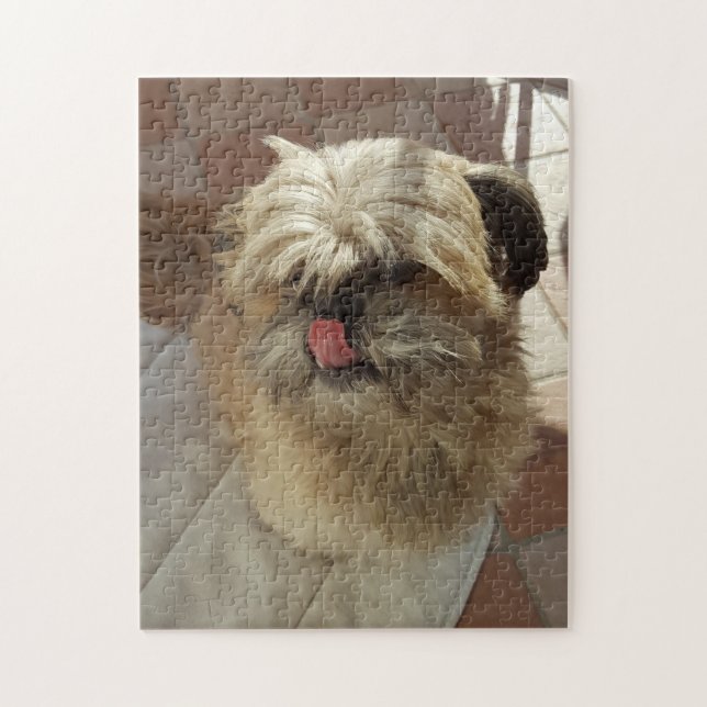 Chih Tzu puzzle chien (Vertical)