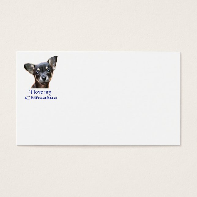 Chihuahua (Vorderseite)