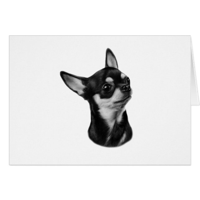 Chihuahua (Vorderseite (Horizontal))