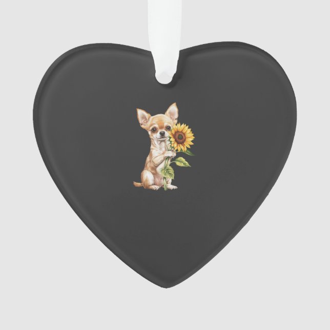 Chihuahua   (devant)