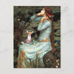 Chihuahua 1 - Ophelia sitzend Postkarte