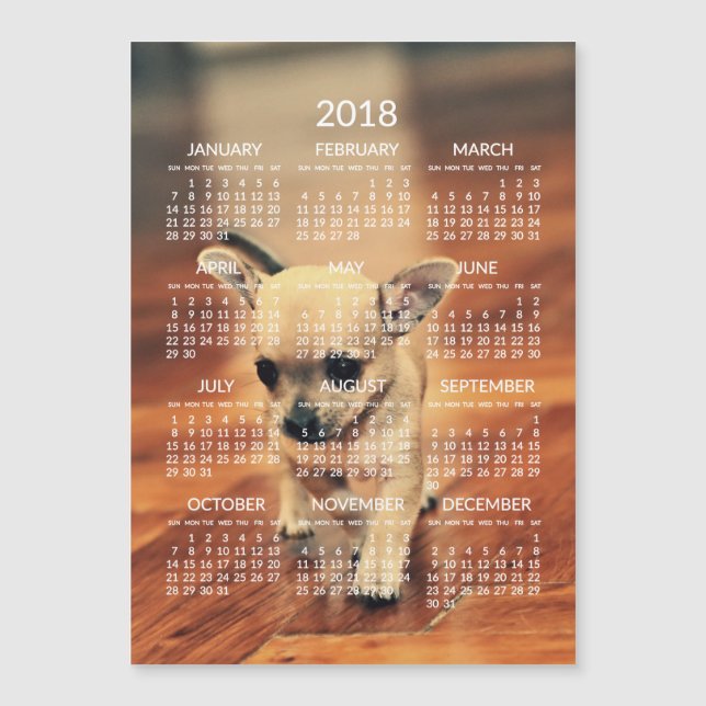 Chihuahua 2018 Calendar Foto Magnetic Card 12x18 Magnetkarte (Vorderseite)