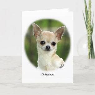 Chihuahua 9P93D-123 Karte