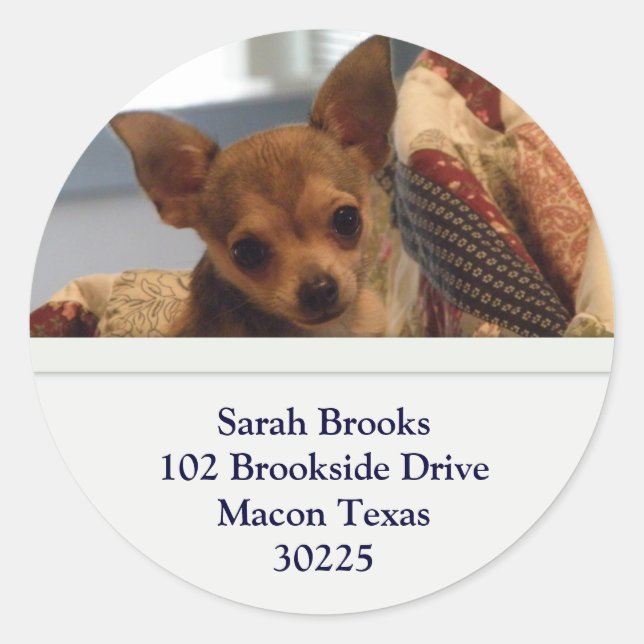 Chihuahua Address Stickers (Vorderseite)