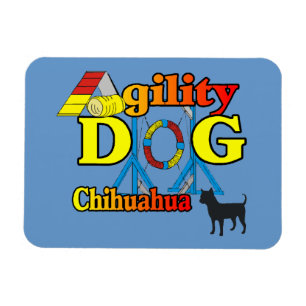 Chihuahua-Agility Magnet