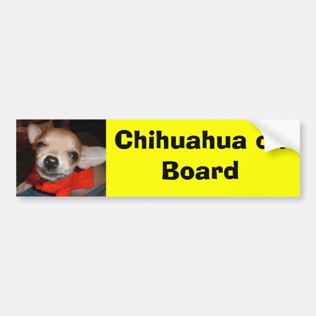 Chihuahua an Bord Autoaufkleber (Vorne)
