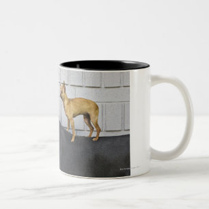 Chihuahua auf der Rückseite der Deutschen Dogge Zweifarbige Tasse