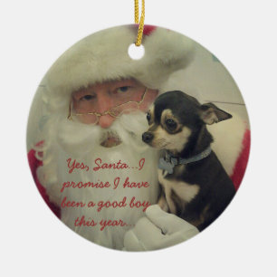 Chihuahua auf Sankt Schoss Keramikornament