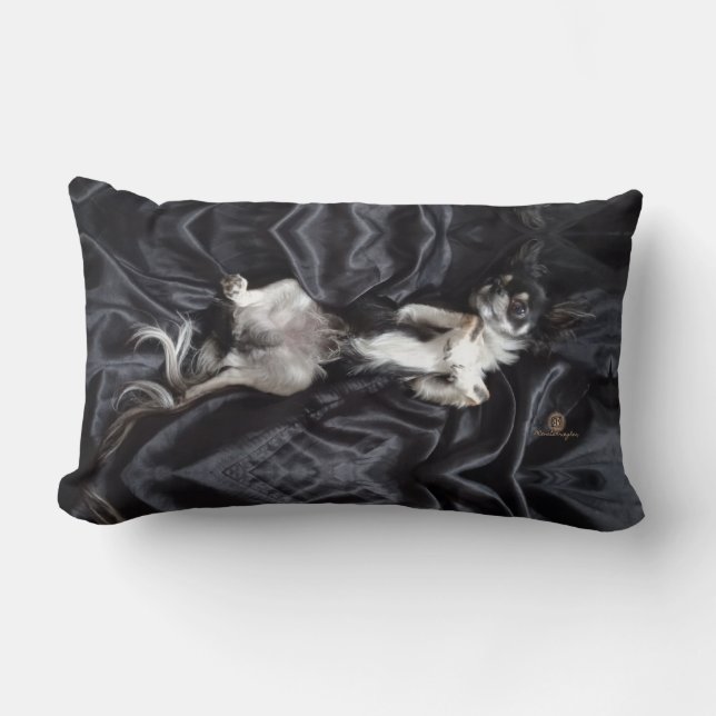 Chihuahua auf schwarzer Seide Lendenkissen (Vorderseite)