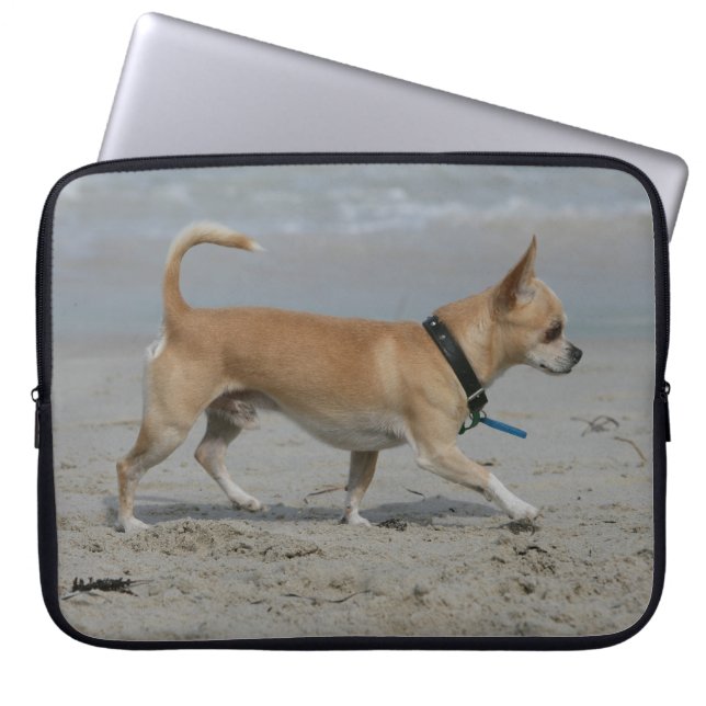 Chihuahua auf Strand Laptopschutzhülle (Vorderseite)