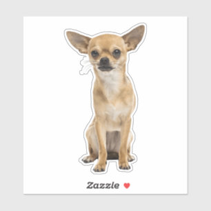 Chihuahua Aufkleber