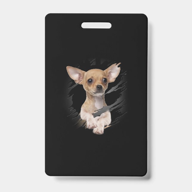 Chihuahua Ausweis (Vorderseite)