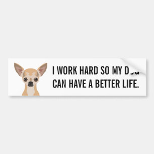 Chihuahua Autoaufkleber