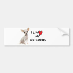 Chihuahua-Autoaufkleber Autoaufkleber
