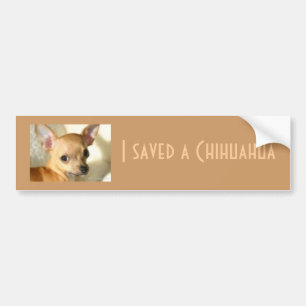 Chihuahua-Autoaufkleber Autoaufkleber