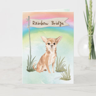Chihuahua Beileid über Rainbow Bridge Karte