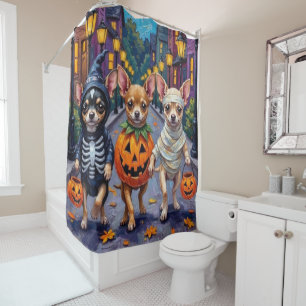 Chihuahua beim Süßigkeiten-Sammeln in Halloween-Ko Duschvorhang