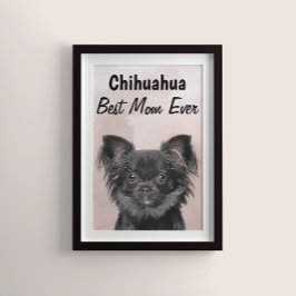 Chihuahua Best Mama Poster