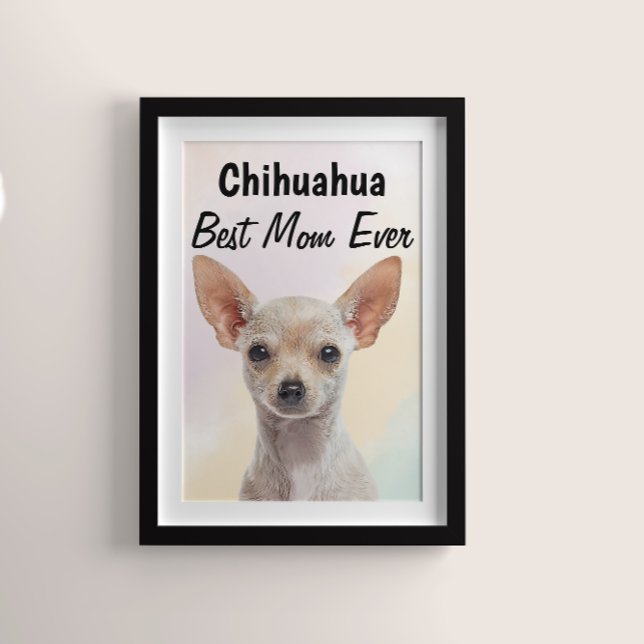 Chihuahua Best Mama Poster (Von Creator hochgeladen)
