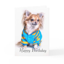 Chihuahua Birthday Card