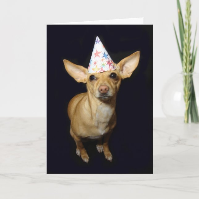 Chihuahua Chien Casquette Pièce Carte de voeux Ann (Devant)
