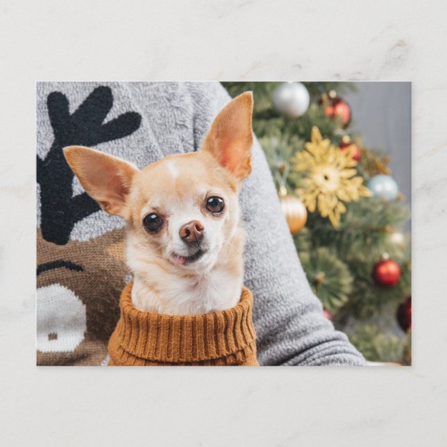Chihuahua Chien Noël avec carte de voeux de Noël A (Devant)