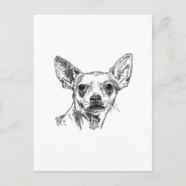 Chihuahua-Chiwawa-Hunde Postkarte (Vorderseite)