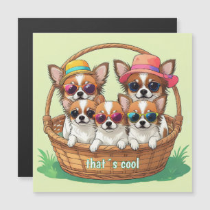 Chihuahua Coole Welpen Magnetkarte