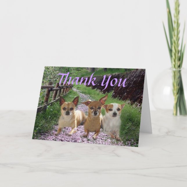 Chihuahua danken Ihnen zu kardieren Dankeskarte (Vorderseite)