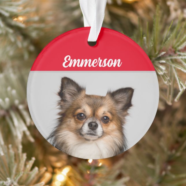 Chihuahua de long Haired avec nom et orna photo (Arbre)